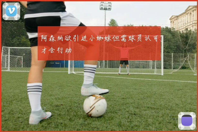 阿森纳欲引进小蜘蛛但需球员认可才会行动