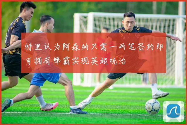 特里认为阿森纳只需一两笔签约即可拥有锋霸实现英超统治
