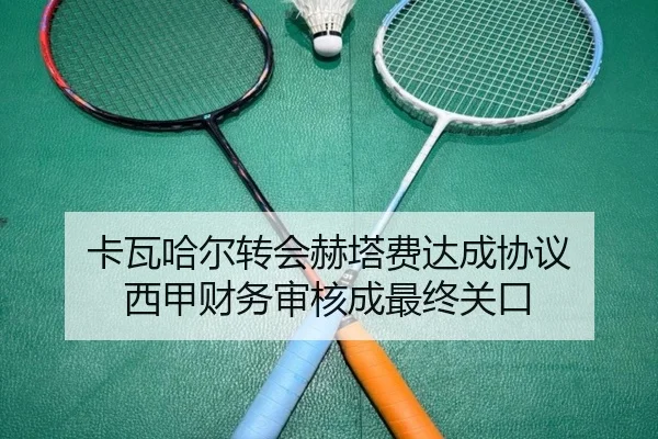 卡瓦哈尔转会赫塔费达成协议 西甲财务审核成最终关口